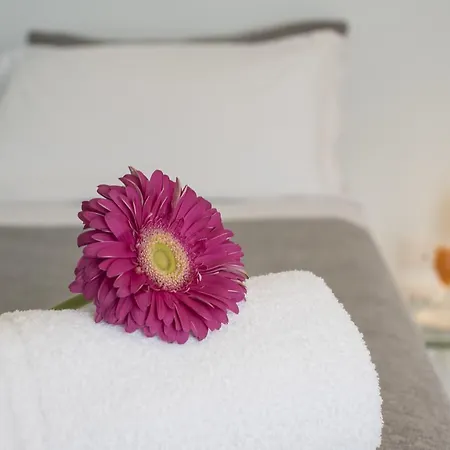Attico 33 B&B 팔레르모